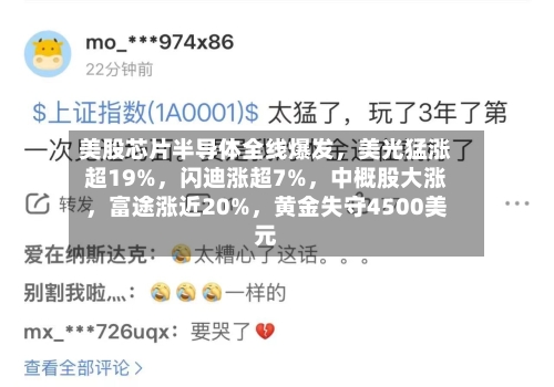美股芯片半导体全线爆发，美光猛涨超19%，闪迪涨超7%	，中概股大涨，富途涨近20%，黄金失守4500美元-第3张图片