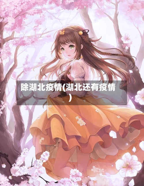除湖北疫情(湖北还有疫情)-第2张图片