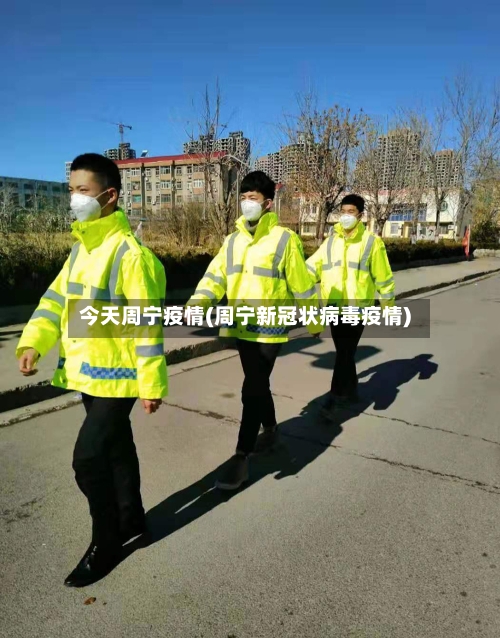 今天周宁疫情(周宁新冠状病毒疫情)-第2张图片