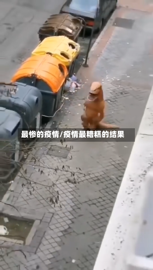 最惨的疫情/疫情最糟糕的结果