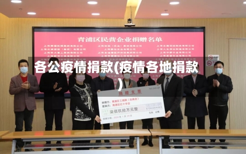 各公疫情捐款(疫情各地捐款)-第2张图片
