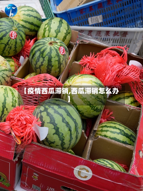 【疫情西瓜滞销,西瓜滞销怎么办】