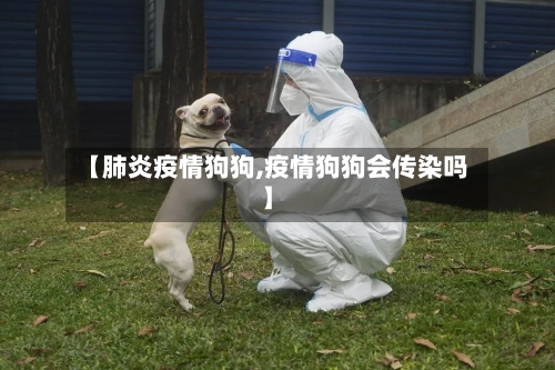 【肺炎疫情狗狗,疫情狗狗会传染吗】