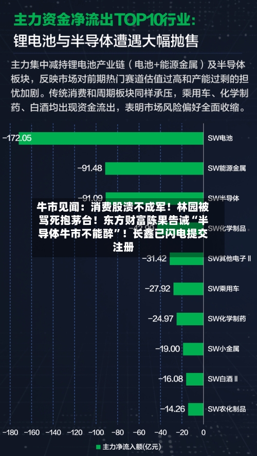 牛市见闻：消费股溃不成军！林园被骂死抱茅台！东方财富陈果告诫“半导体牛市不能醉”！长鑫已闪电提交注册
