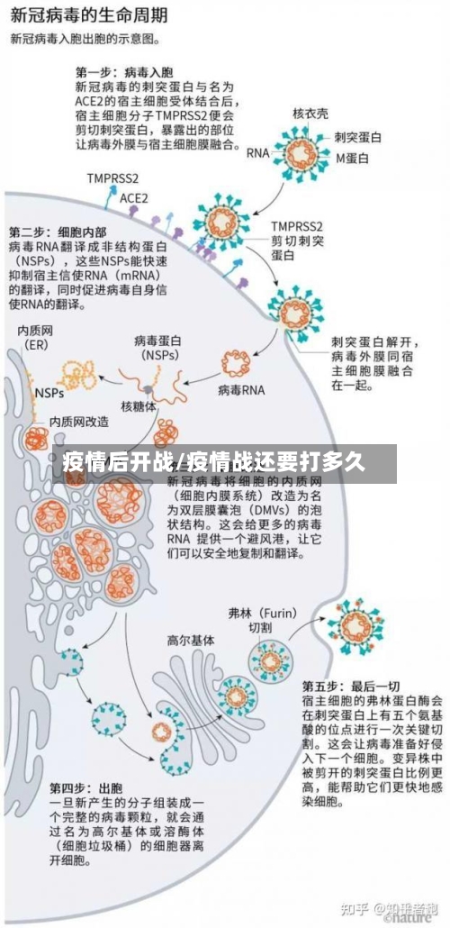 疫情后开战/疫情战还要打多久