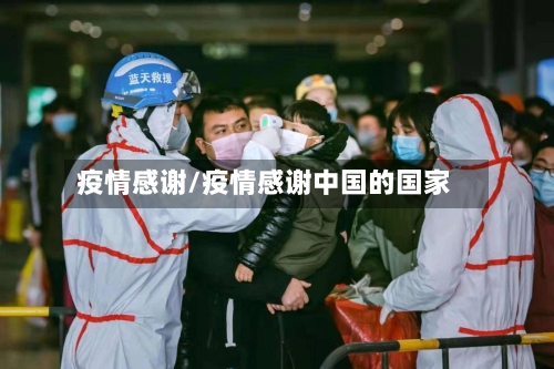 疫情感谢/疫情感谢中国的国家