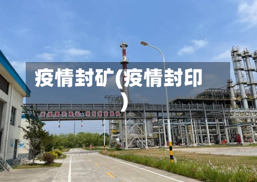 疫情封矿(疫情封印)-第2张图片