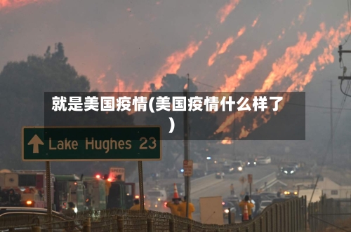就是美国疫情(美国疫情什么样了)-第3张图片