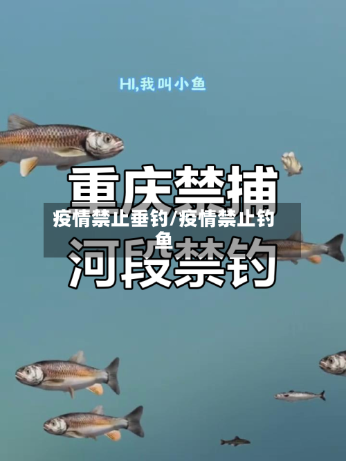 疫情禁止垂钓/疫情禁止钓鱼