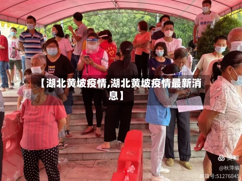 【湖北黄坡疫情,湖北黄坡疫情最新消息】