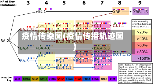 疫情传染图(疫情传播轨迹图)-第2张图片