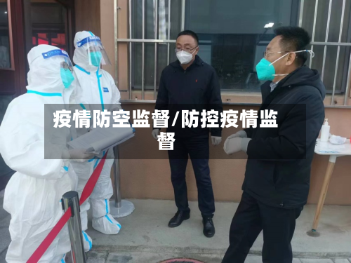 疫情防空监督/防控疫情监督-第3张图片