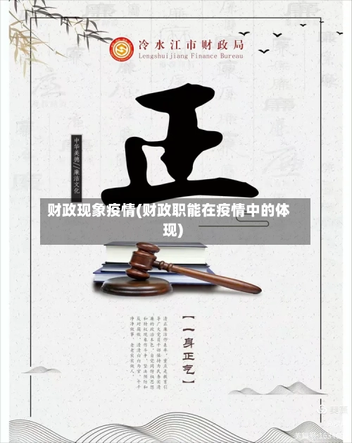 财政现象疫情(财政职能在疫情中的体现)-第2张图片