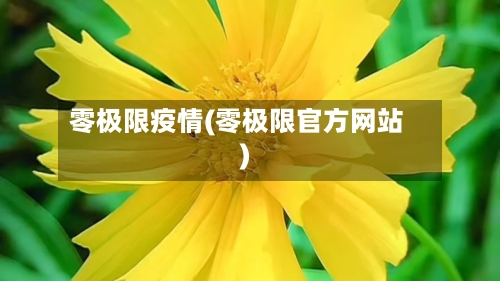 零极限疫情(零极限官方网站)-第2张图片