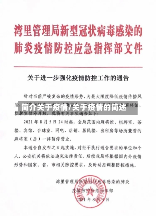 简介关于疫情/关于疫情的简述-第2张图片