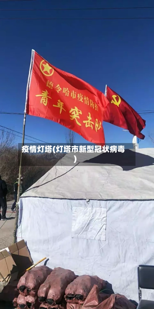 疫情灯塔(灯塔市新型冠状病毒)-第2张图片