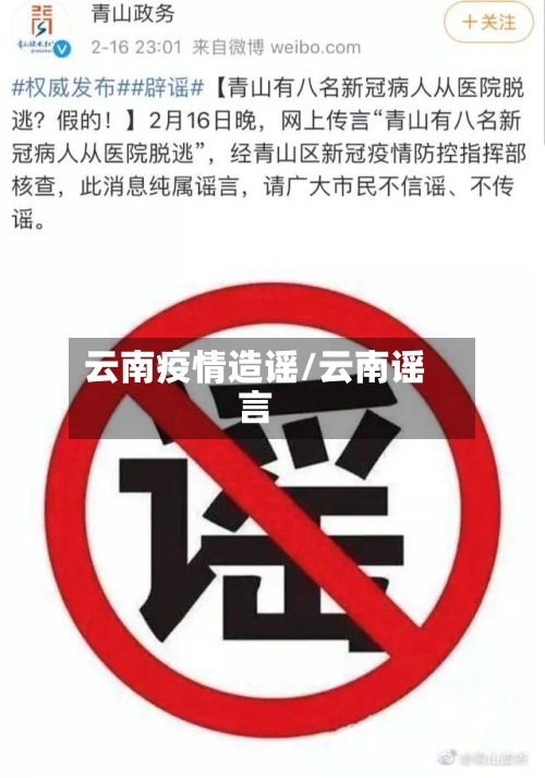 云南疫情造谣/云南谣言