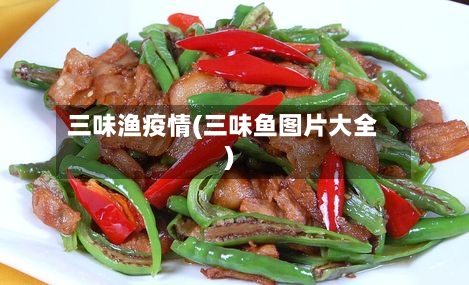 三味渔疫情(三味鱼图片大全)
