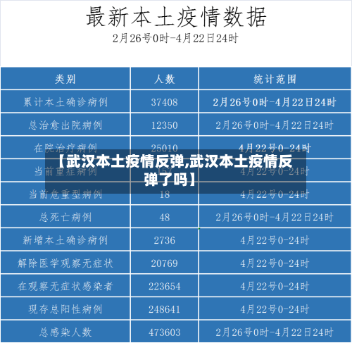 【武汉本土疫情反弹,武汉本土疫情反弹了吗】-第3张图片