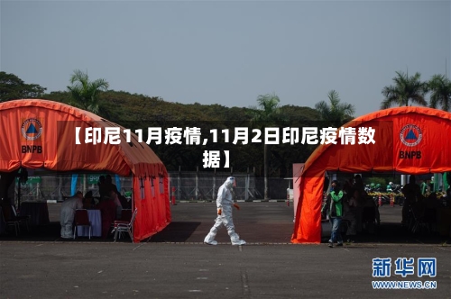 【印尼11月疫情,11月2日印尼疫情数据】