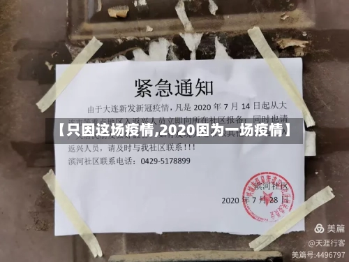 【只因这场疫情,2020因为一场疫情】-第2张图片
