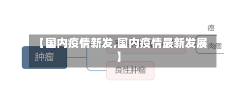 【国内疫情新发,国内疫情最新发展】-第2张图片