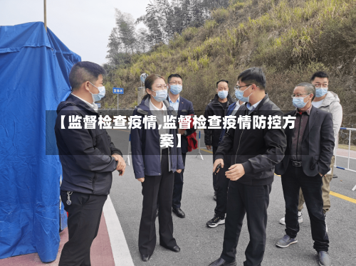 【监督检查疫情,监督检查疫情防控方案】