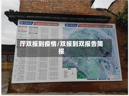 厅双报到疫情/双报到双报告简报-第2张图片
