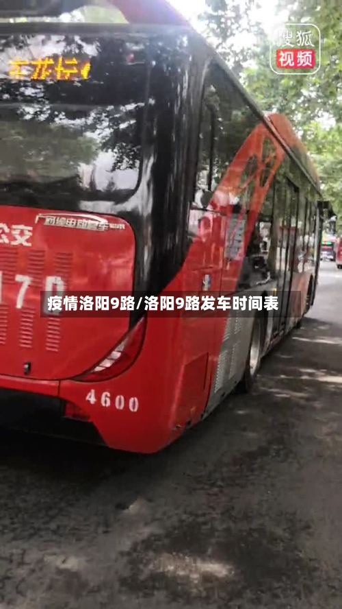 疫情洛阳9路/洛阳9路发车时间表