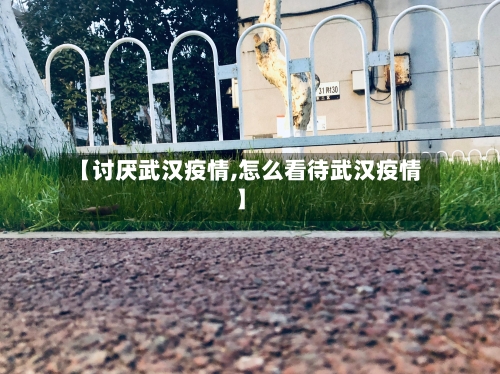 【讨厌武汉疫情,怎么看待武汉疫情】-第2张图片