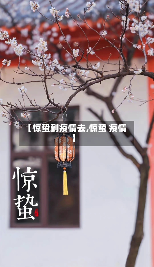 【惊蛰到疫情去,惊蛰 疫情】-第2张图片