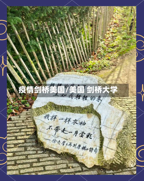 疫情剑桥美国/美国 剑桥大学