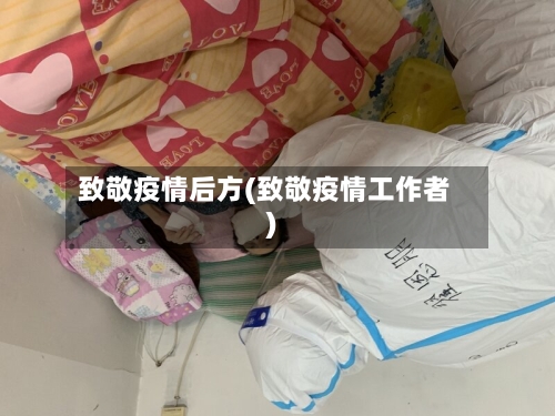 致敬疫情后方(致敬疫情工作者)