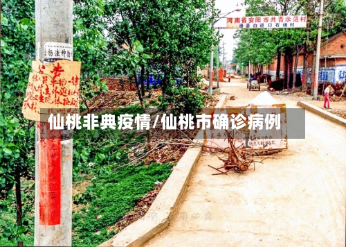 仙桃非典疫情/仙桃市确诊病例-第3张图片