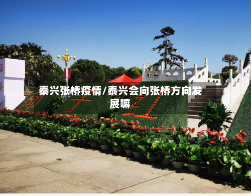 泰兴张桥疫情/泰兴会向张桥方向发展嘛-第2张图片