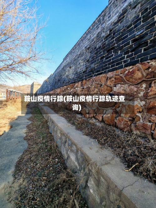 鞍山疫情行踪(鞍山疫情行踪轨迹查询)
