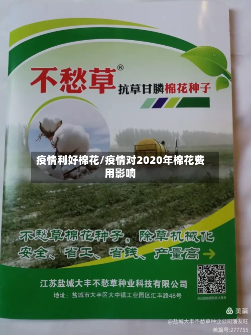 疫情利好棉花/疫情对2020年棉花费用影响