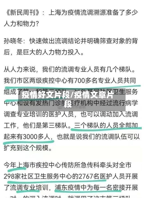 疫情好文片段/疫情文章片段