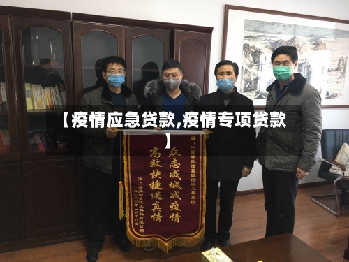 【疫情应急贷款,疫情专项贷款】-第2张图片