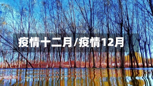 疫情十二月/疫情12月-第2张图片
