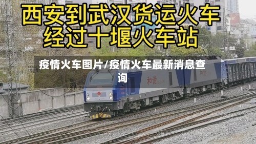 疫情火车图片/疫情火车最新消息查询