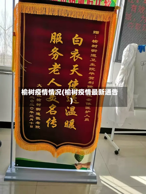 榆树疫情情况(榆树疫情最新通告)-第2张图片
