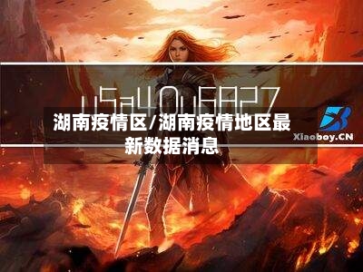 湖南疫情区/湖南疫情地区最新数据消息-第3张图片