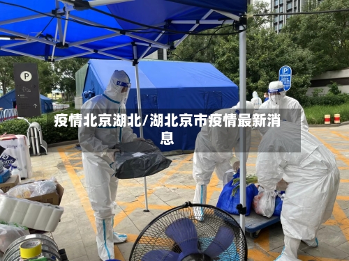 疫情北京湖北/湖北京市疫情最新消息-第2张图片