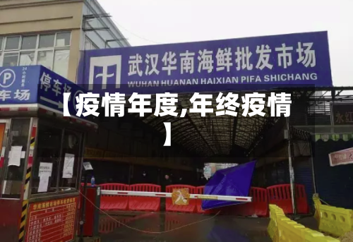 【疫情年度,年终疫情】-第2张图片