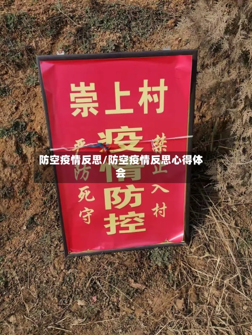 防空疫情反思/防空疫情反思心得体会