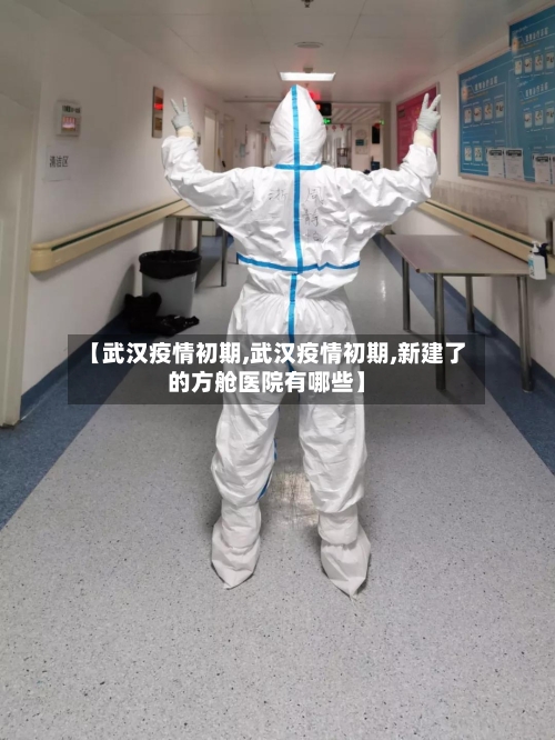 【武汉疫情初期,武汉疫情初期,新建了的方舱医院有哪些】-第3张图片