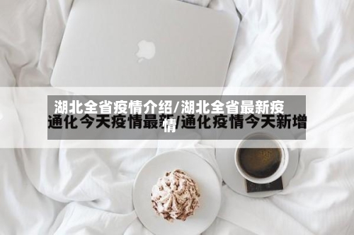 湖北全省疫情介绍/湖北全省最新疫情