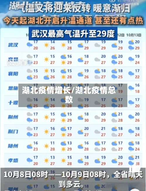 湖北疫情增长/湖北疫情总数-第2张图片