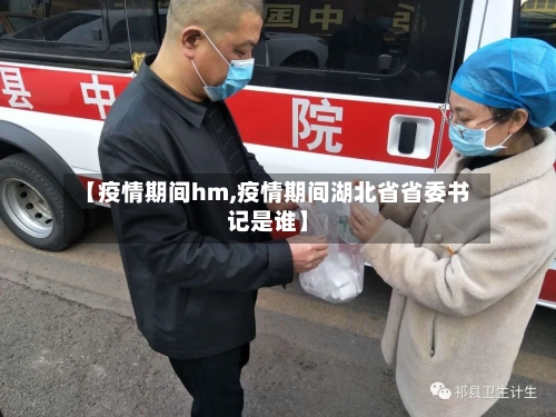 【疫情期间hm,疫情期间湖北省省委书记是谁】-第2张图片